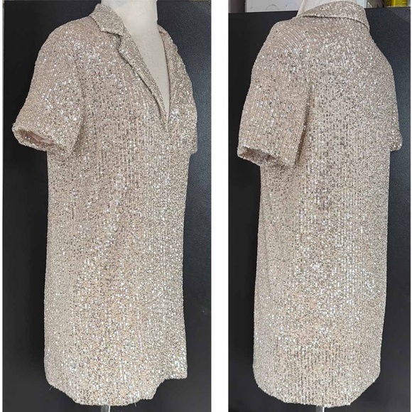 Sunday in Brooklyn Women XSP Sequin Short Sleeve Mini Tunic Shirt Dress EUC - Picture 3 of 9